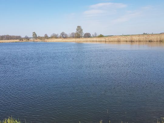 Torfstich (Krauschütz)-4