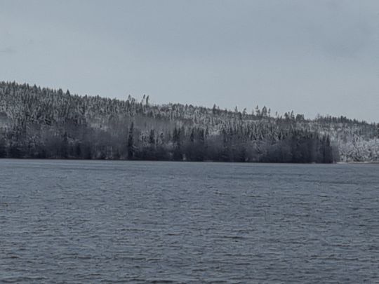 Lelång