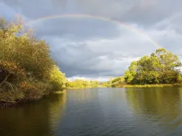 Saalealtarm Plötzkau-1