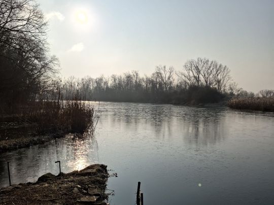 Saalealtarm Plötzkau-4