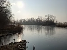 Saalealtarm Plötzkau-4