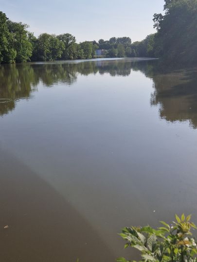 Mühlweiher (Weisendorf)-1