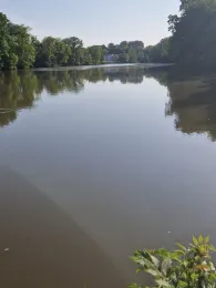 Mühlweiher (Weisendorf)-1