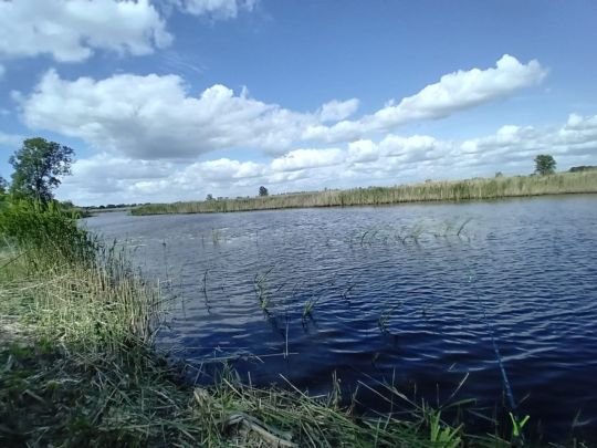 Wesicken (Sophiental)