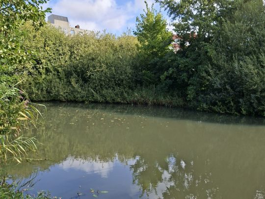 Rückhaltebecken Vogelsand