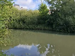 Rückhaltebecken Vogelsand