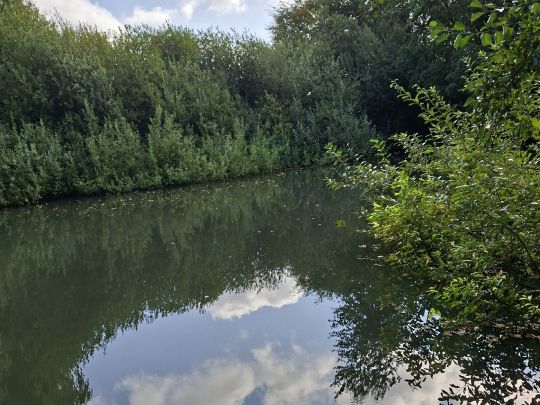 Rückhaltebecken Vogelsand-2