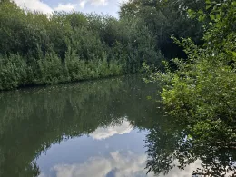 Rückhaltebecken Vogelsand-2