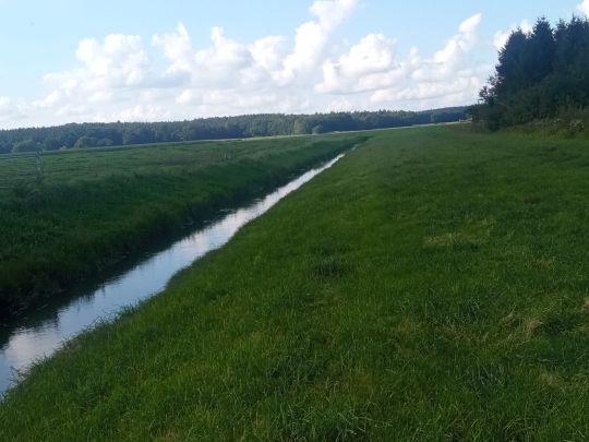 Fuhlenau (Lutjenwestedt)-1