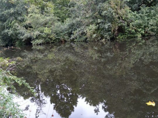 Markfleth (Bremerhaven)