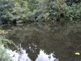 Markfleth (Bremerhaven)