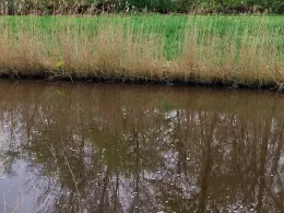 Markfleth (Bremerhaven)-1