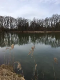 Köppelweiher (Allershausen)-2