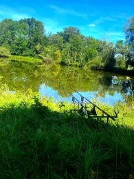 Köppelweiher (Allershausen)-4