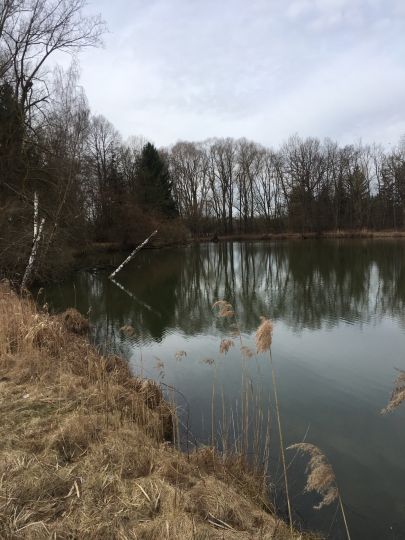 Köppelweiher (Allershausen)-3