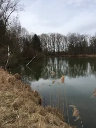 Köppelweiher (Allershausen)-3