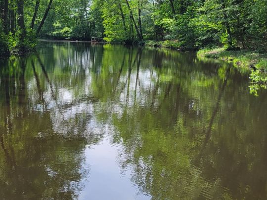 Hase-Altarm Heckenkölke-1