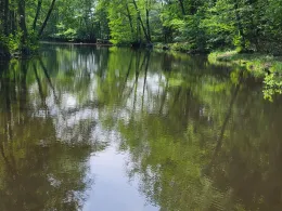 Hase-Altarm Heckenkölke-1