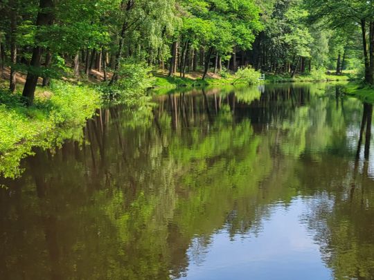 Hase-Altarm Heckenkölke