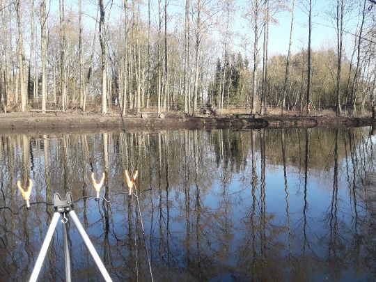 Forellenteich Stavern-1