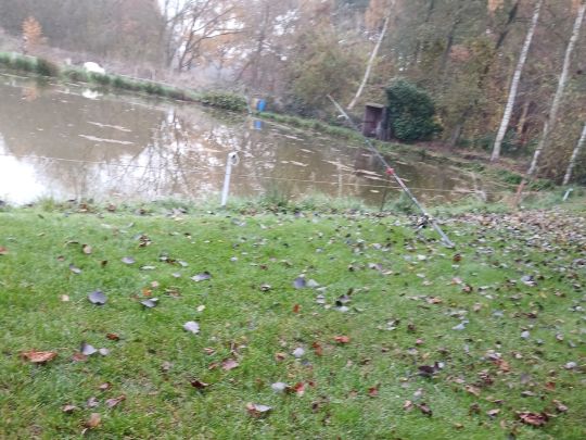 Forellenteich Stavern-3