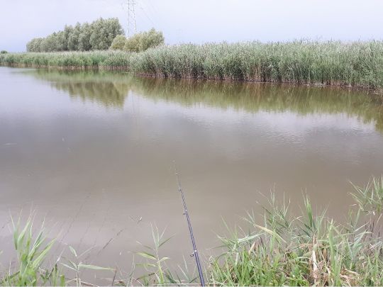 Canale Lugugnana (Bibione)