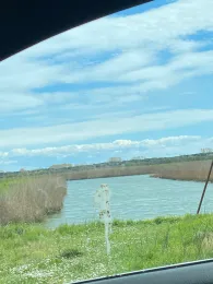 Canale Lugugnana (Bibione)-2