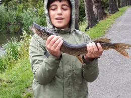 Norder Wallgraben (Otterndorf)-4