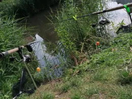 Norder Wallgraben (Otterndorf)