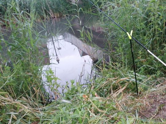 Norder Wallgraben (Otterndorf)-1