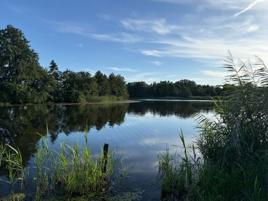 Warnow (Papendorf)-4