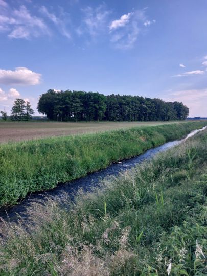 Klüßer Mühlenbach-3