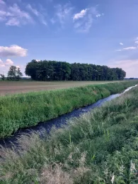 Klüßer Mühlenbach-3