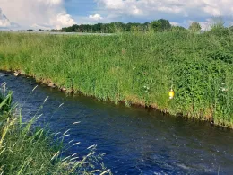 Klüßer Mühlenbach-1