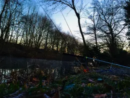 Erft (Wevelinghoven)-2