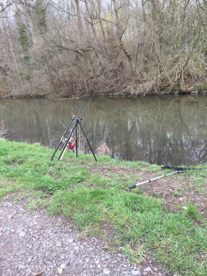 Erft (Wevelinghoven)-1