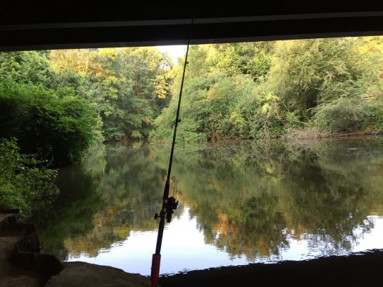 Erft (Wevelinghoven)-4