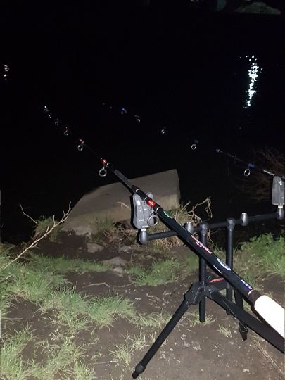 Erft (Wevelinghoven)-3