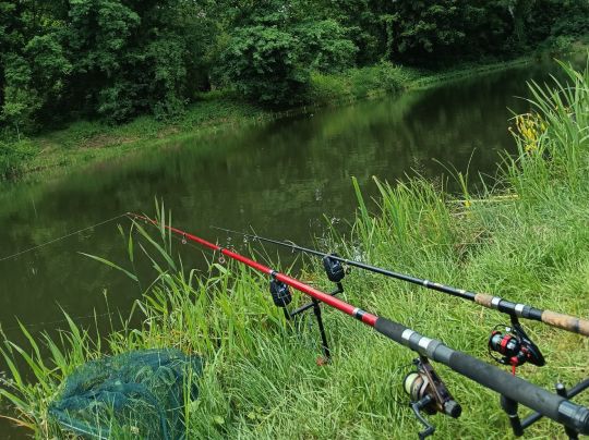 Feuerlöschteich Rothenburg-1