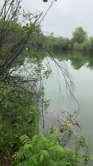 Weißweiher (Moosburg)-1