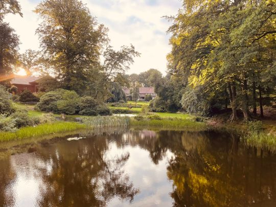 Teich Hardinghausen-1