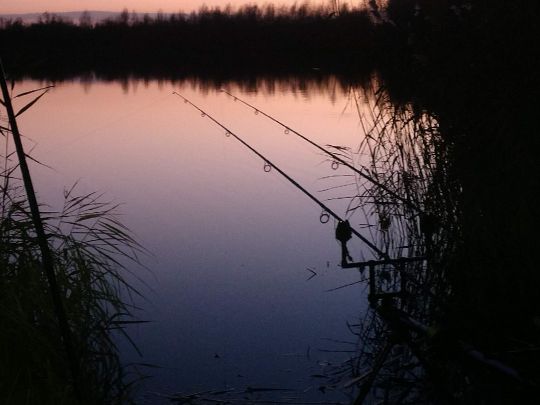 Spree (Lübben) angeln