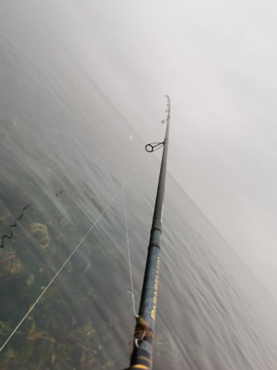 Ostsee - Kieler Bucht (auf See)-2