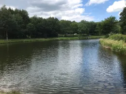 Heilbachsee (Gunderath)-4