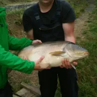 Heilbachsee (Gunderath)-1