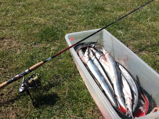 Greifswalder Bodden (auf See)-3