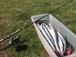 Greifswalder Bodden (auf See)-3
