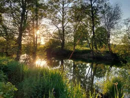 Glonn (Petershausen)-2