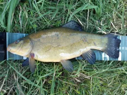 Glonn (Petershausen)-1