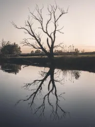 Glonn (Petershausen)-3